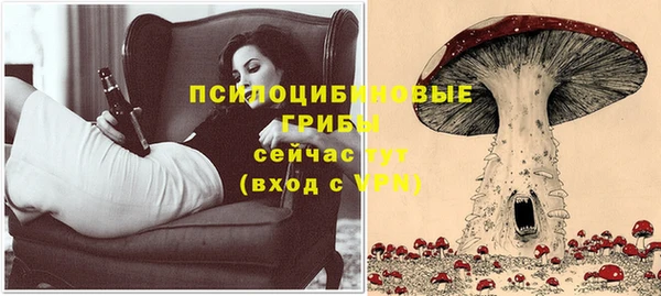 дурь Абинск