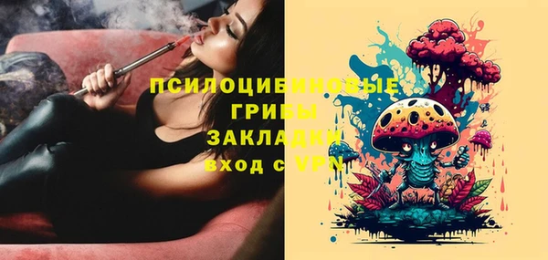 стаф Абдулино