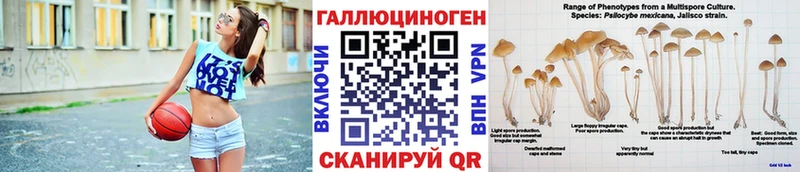 Галлюциногенные грибы мицелий  Бирюсинск 